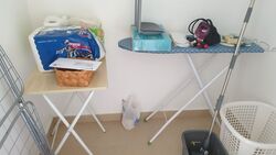Haig 162 (D15), Apartment #545303811